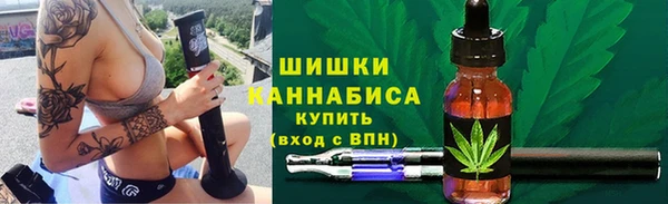мдпв Вязники