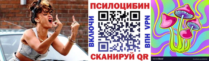 Галлюциногенные грибы Psilocybe  магазин  наркотиков  Карачаевск 