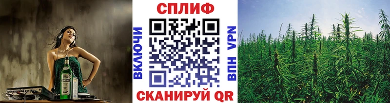 Бошки марихуана White Widow Карачаевск